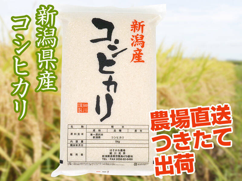 【定番人気】令和4年産新潟県長岡産コシヒカリ白米20kg（5㎏×4袋）