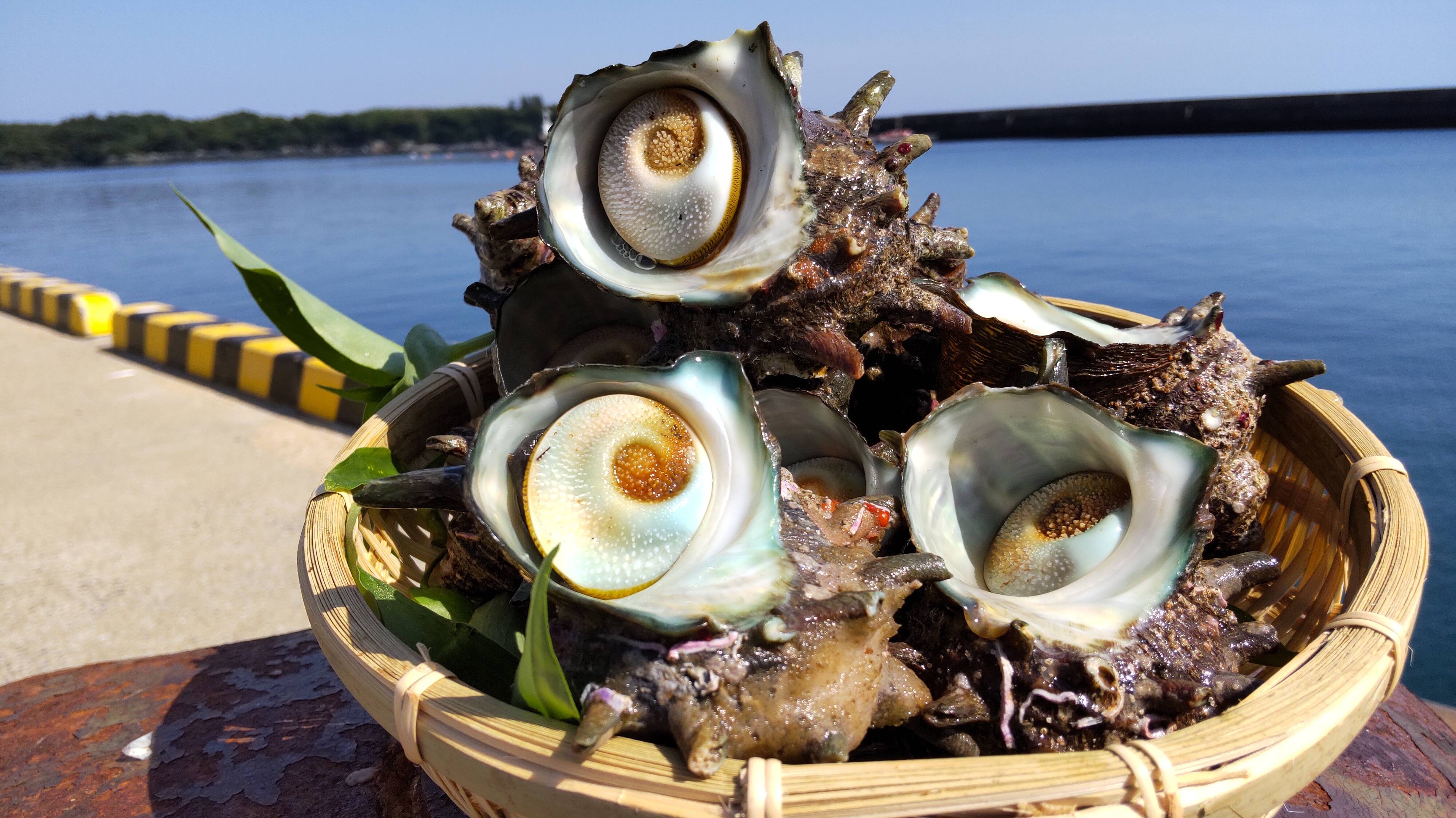 父の日にも 壱岐産 新鮮サザエ 大サイズ 8個 1 2キロ さざえ 長崎県産 食べチョク 農家 漁師の産直ネット通販 旬の食材を生産者直送