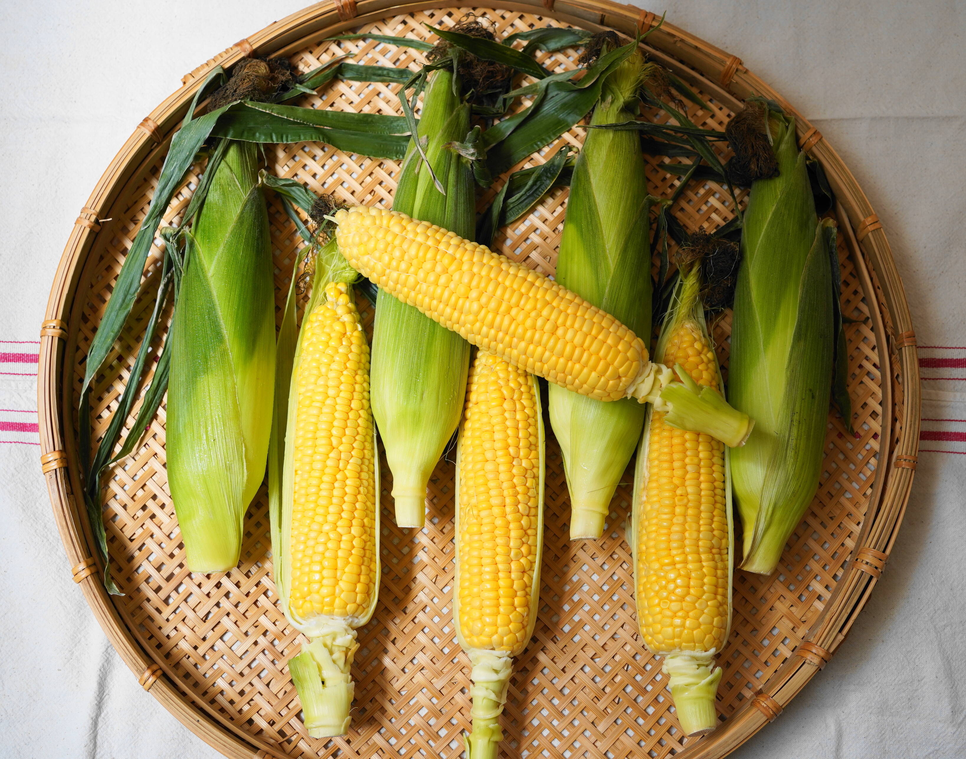 8本・お試し価格【最上級・プレミアムとうもろこし（糖度20度程度