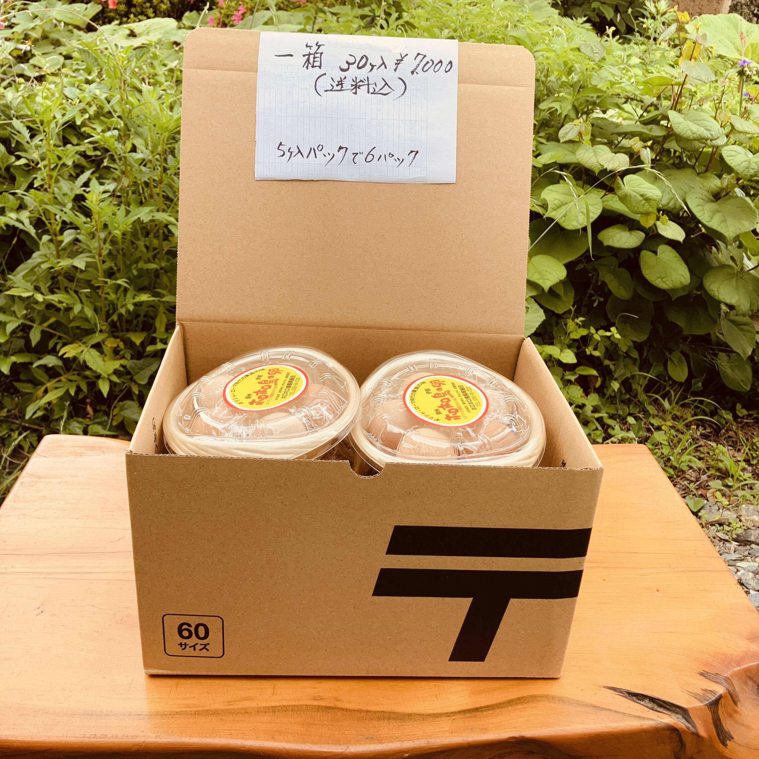 ホロホロ鳥の卵 5個入6パック 計30個：長野県産のその他卵｜食べ 