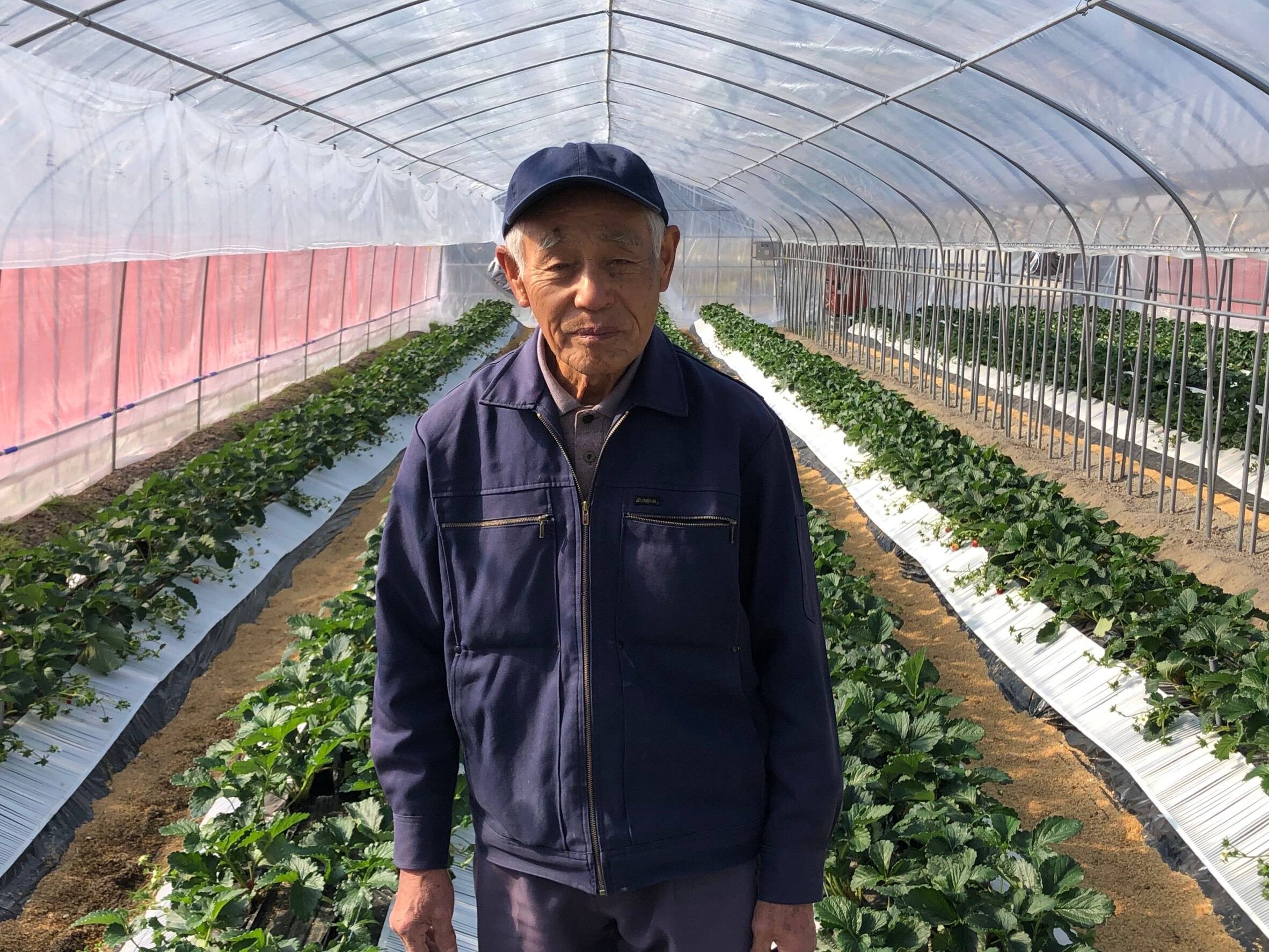 宮城発送　こだわり市場さま専用 宮城発送 こだわり市場さま専用 仮称）仙台扇町物流センター」を着工