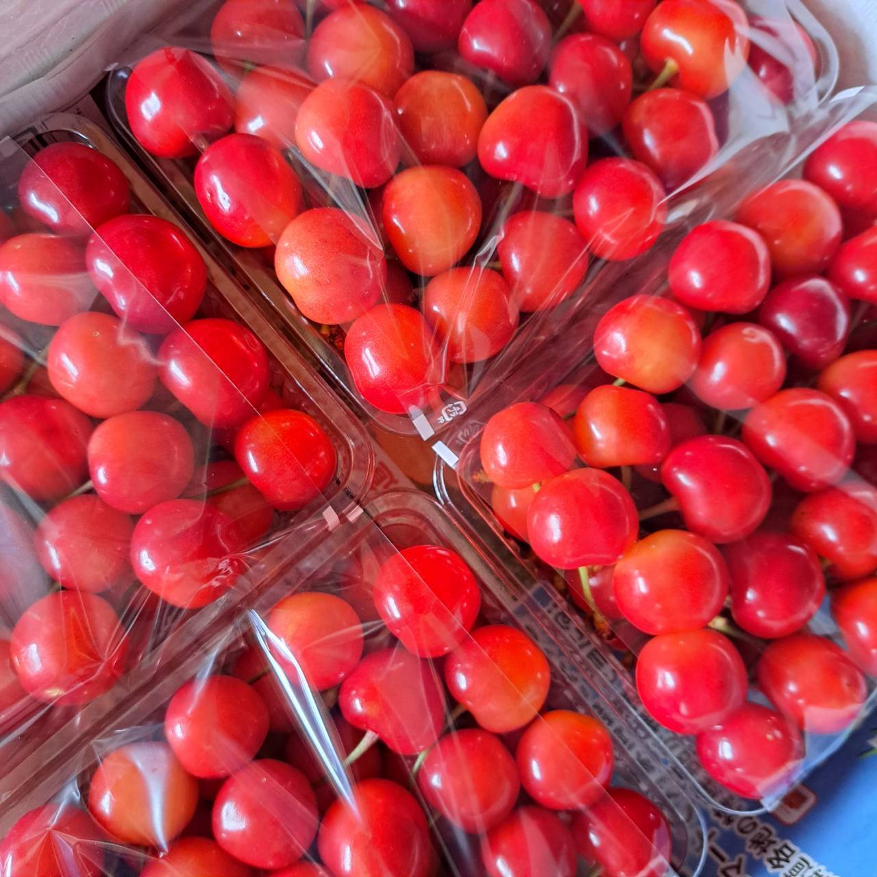 fcf597ad9b554cc056abb546cc9ce4