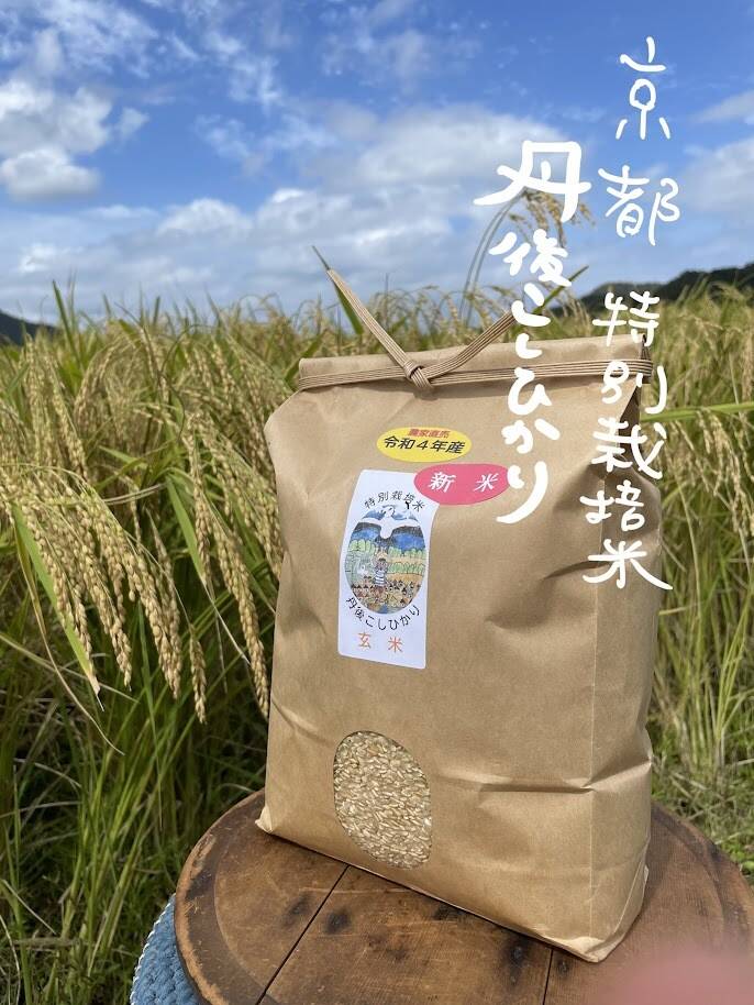 米　7キロ　日本産 新米予約開始!!】※ランダム※ 令和7年産 茨城県産 【白米】 5kg