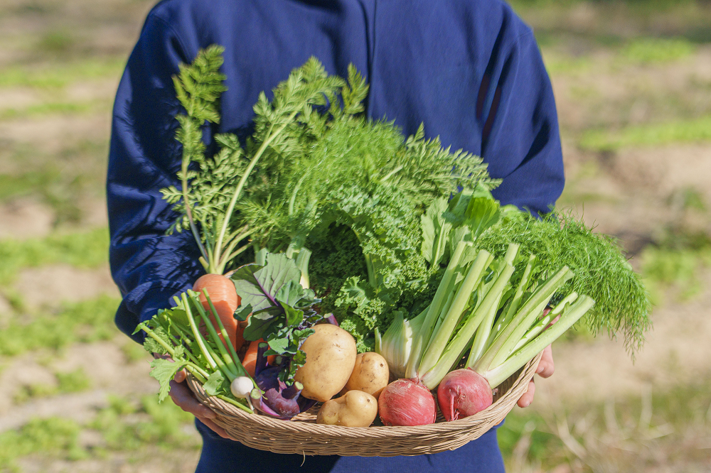 淡路島産】冬ギフト_旬の冬野菜セット！ 6~7種詰め合わせ：兵庫県産の