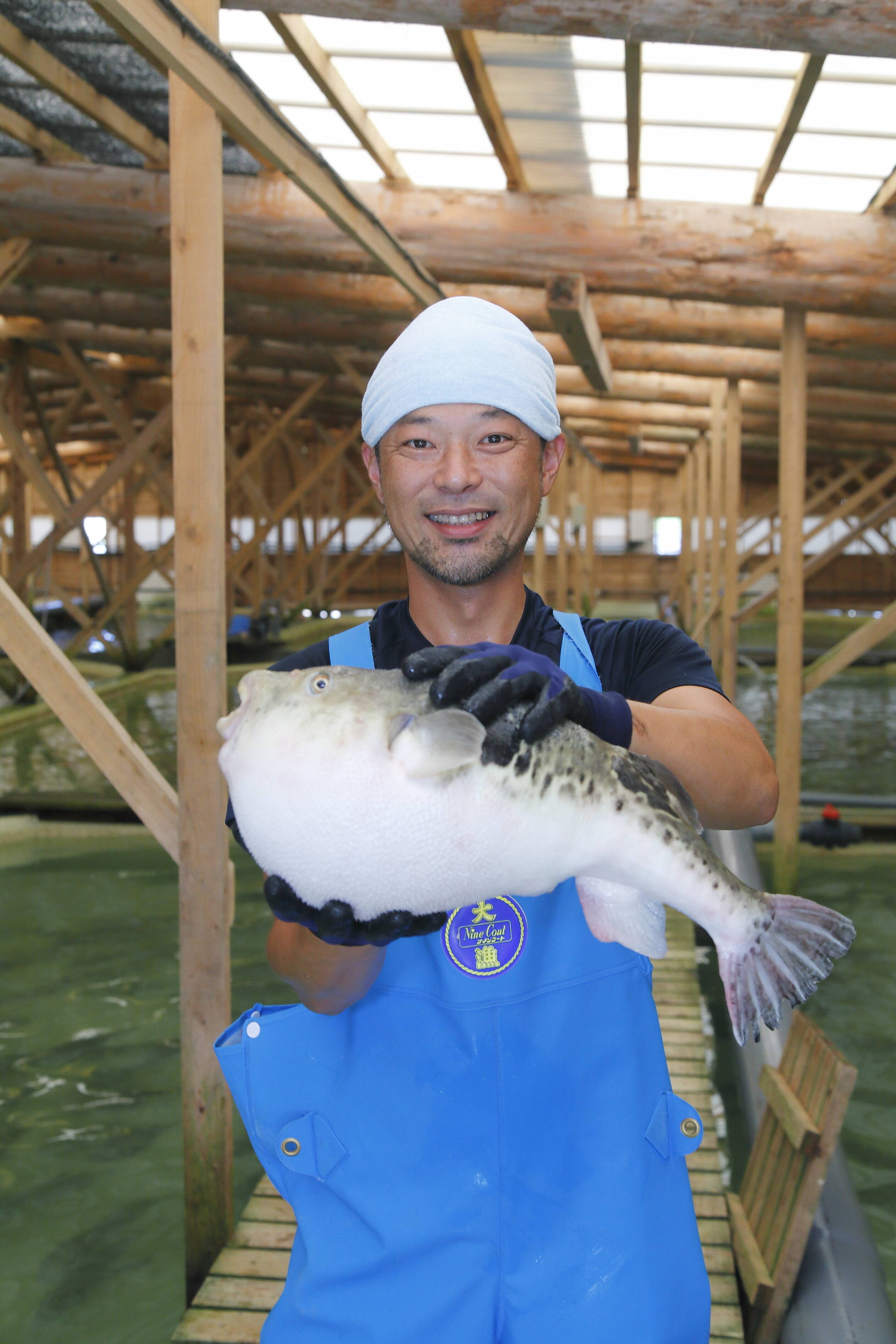 〝ふぐの王様〟とらふぐのシーズン到来！!｜食べチョク｜産地直送