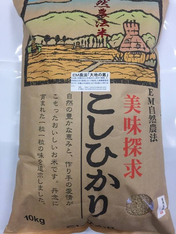 令和5年産 特別栽培米 農薬不使用 化学肥料不使用 除草剤不使用 コシヒカリ 玄米 10kg：石川県産のお米｜食べチョク｜産地直送(産直)お取り寄せ通販  - 農家・漁師から旬の食材を直送