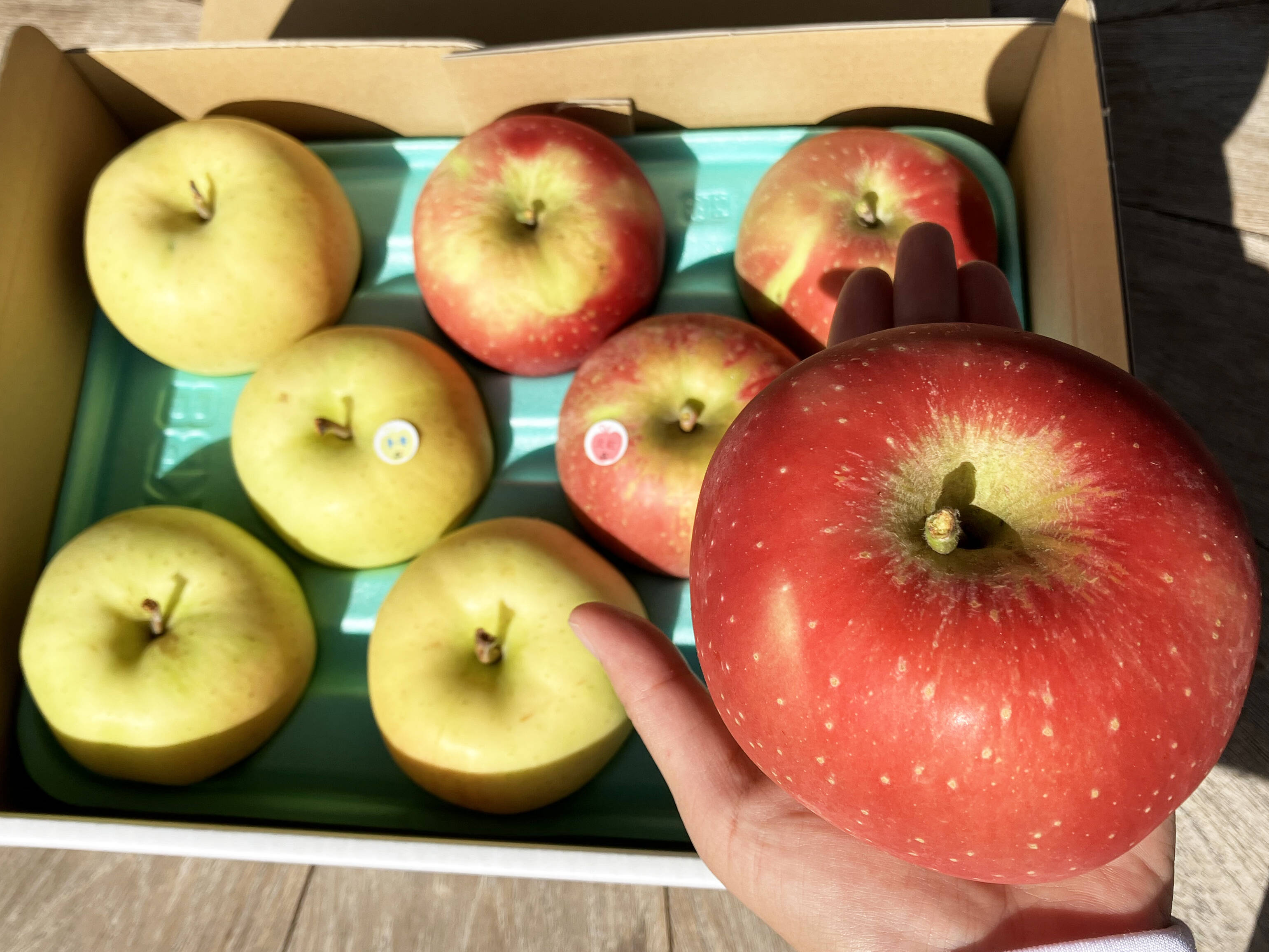 ノースページ 農家直送青森検査りんご使用加工品詰め合わせセット各8個