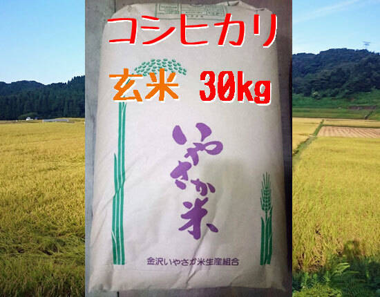 令和３年産 コシヒカリ 玄米 30kg 一等米【金沢いやさか米】