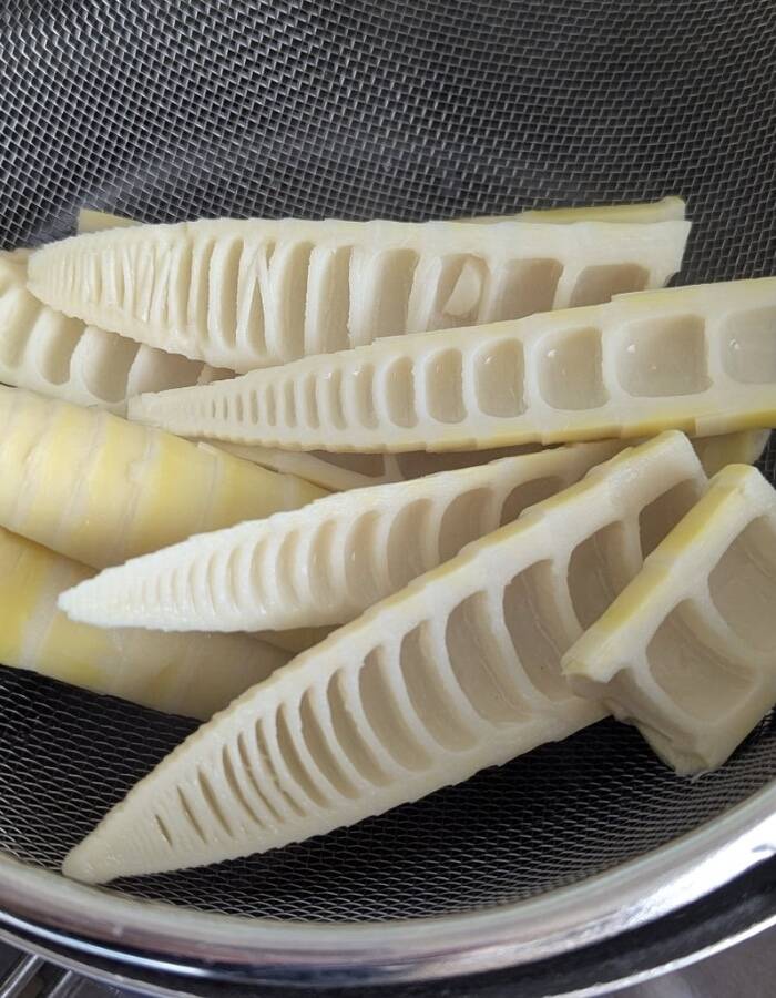 最高においしく食べる真竹（マダケ）の調理法