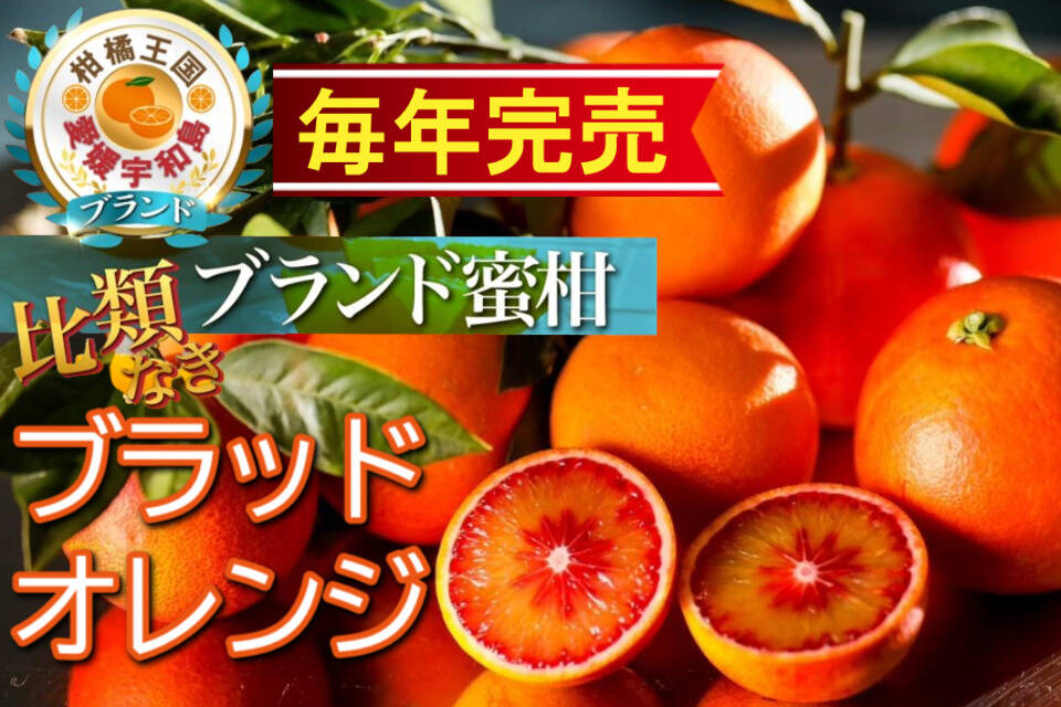 日テレ話題沸騰】見つけたら超ラッキー『幻の生ブラッドオレンジ』国産やみつきリピーター続出🍊傾斜35度の崖上で収穫される希少な宇和島ブランドみかん 【お得キャンペーン約3kg】2025年先行予約：愛媛県産のみかん・柑橘類｜食べチョク｜産地直送(産直)お取り寄せ通販 ...