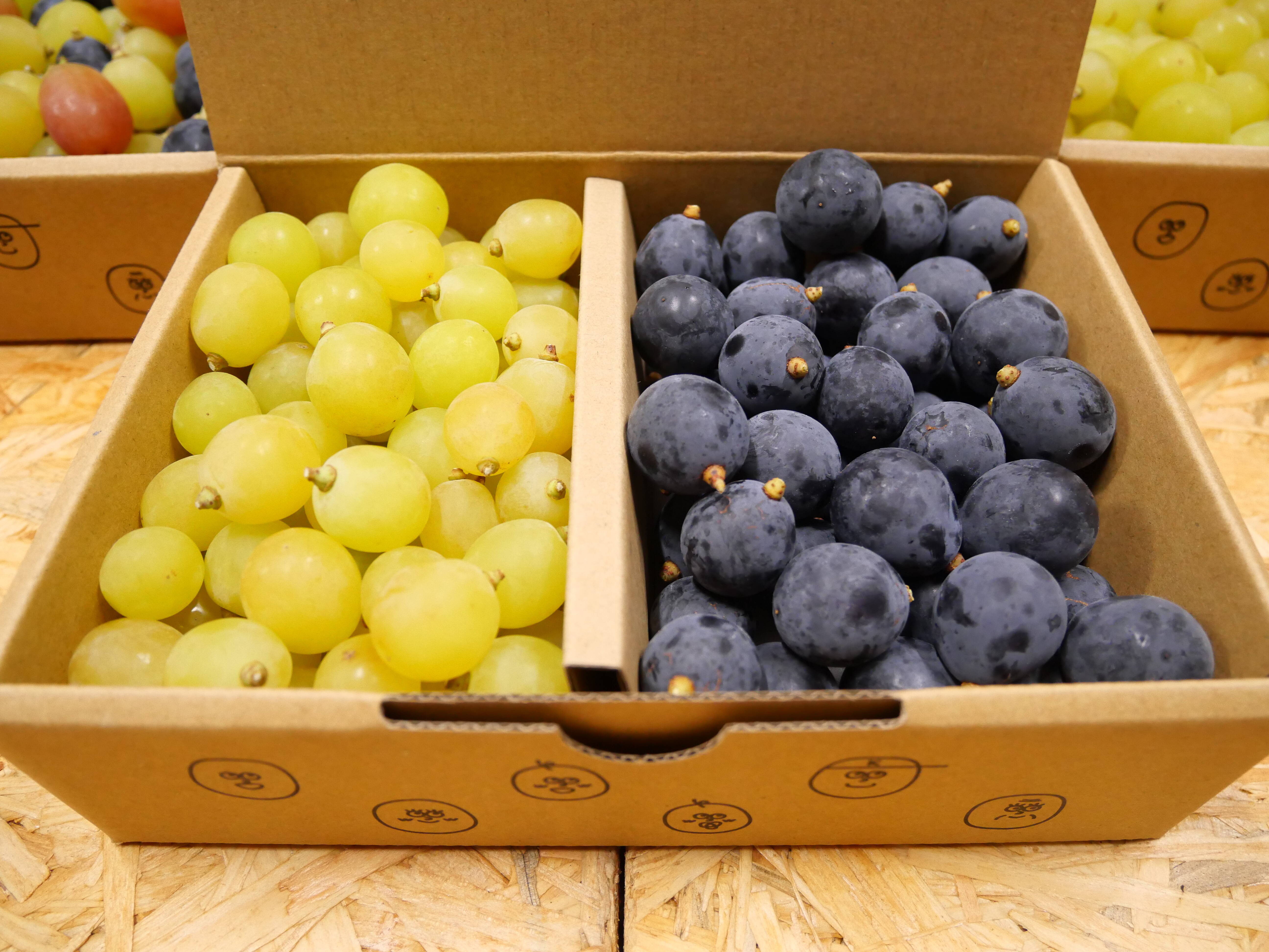 fe409d86f1970451f0bd0b7d0221b1