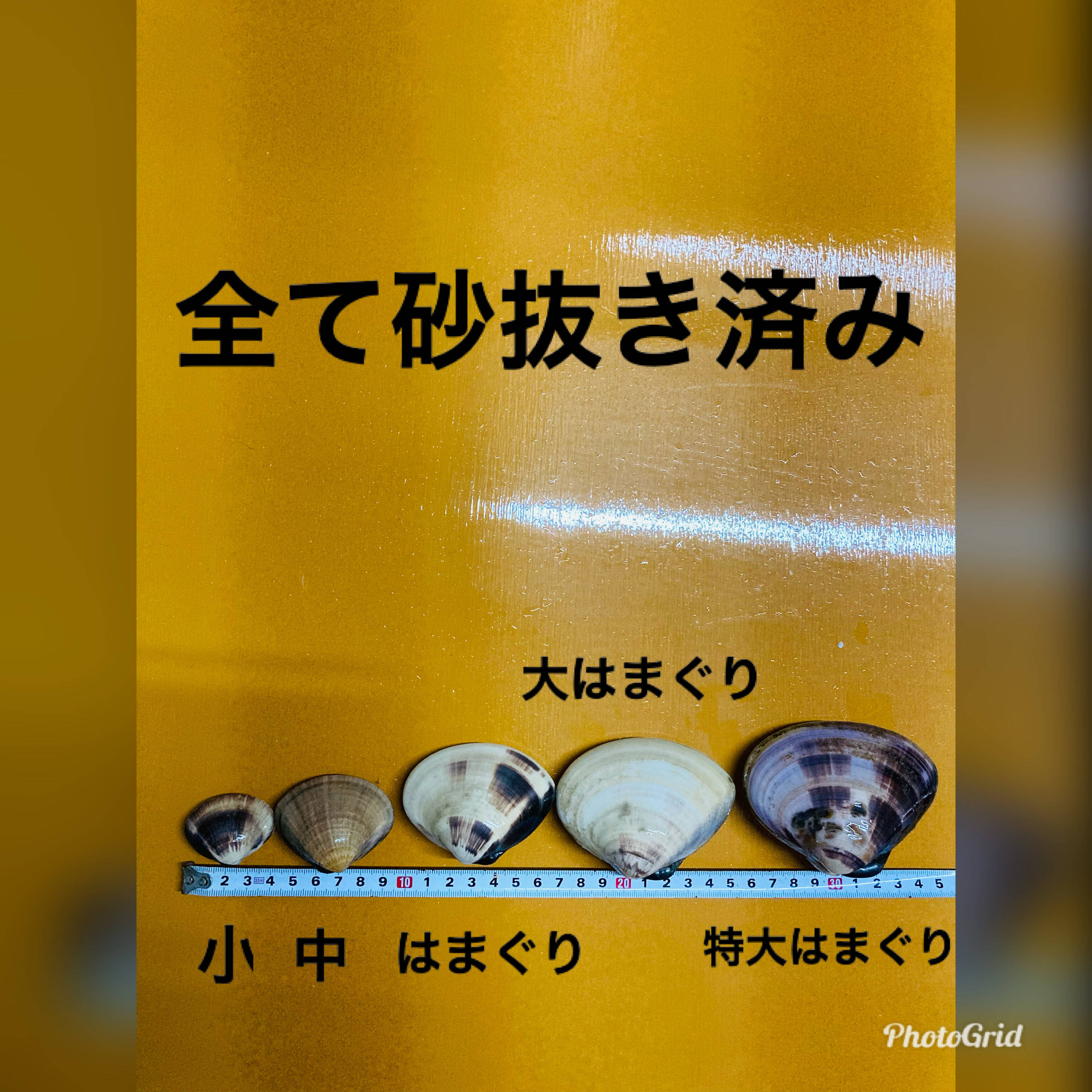 専用 はまぐり ながらみ各2キロ 中はまぐり1キロ - 魚介