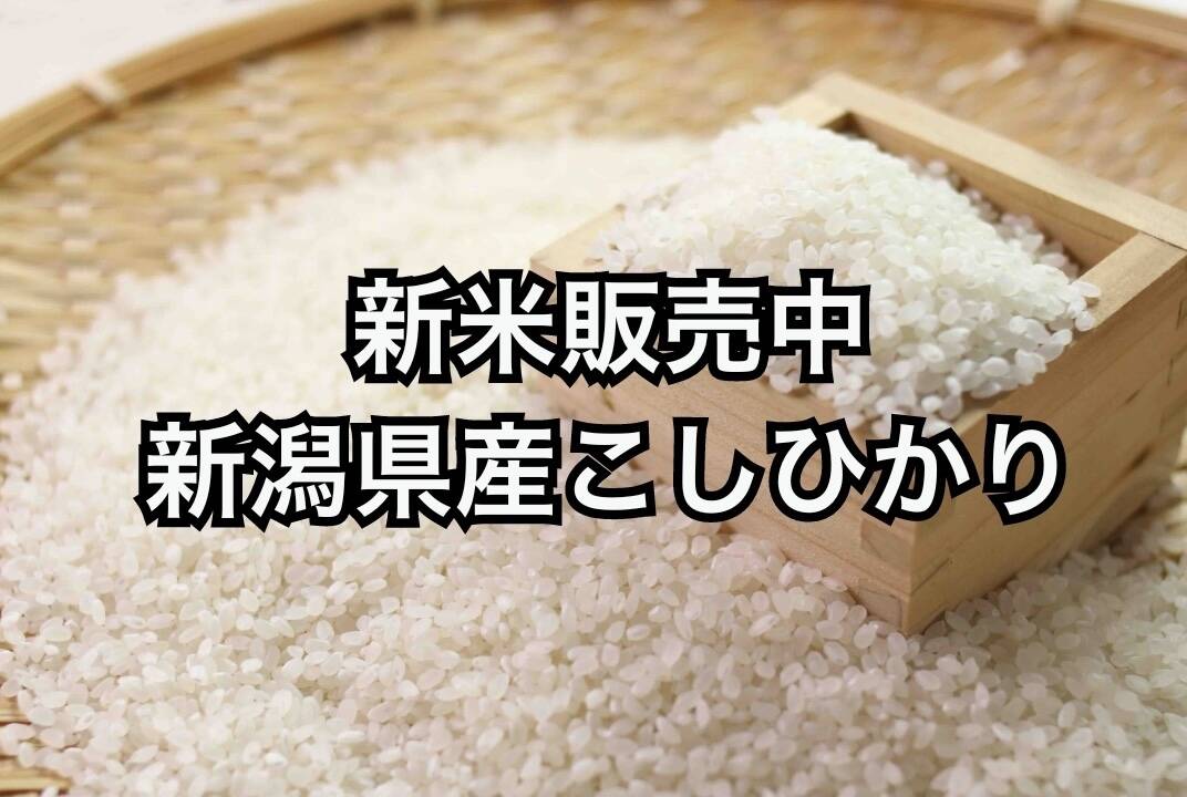 新米販売中】新潟県産コシヒカリ 5kg 一等米こしひかり 令和6年産  受注後精米するので鮮度抜群！：新潟県産のコシヒカリ｜食べチョク｜産地直送(産直)お取り寄せ通販 - 農家・漁師から旬の食材を直送