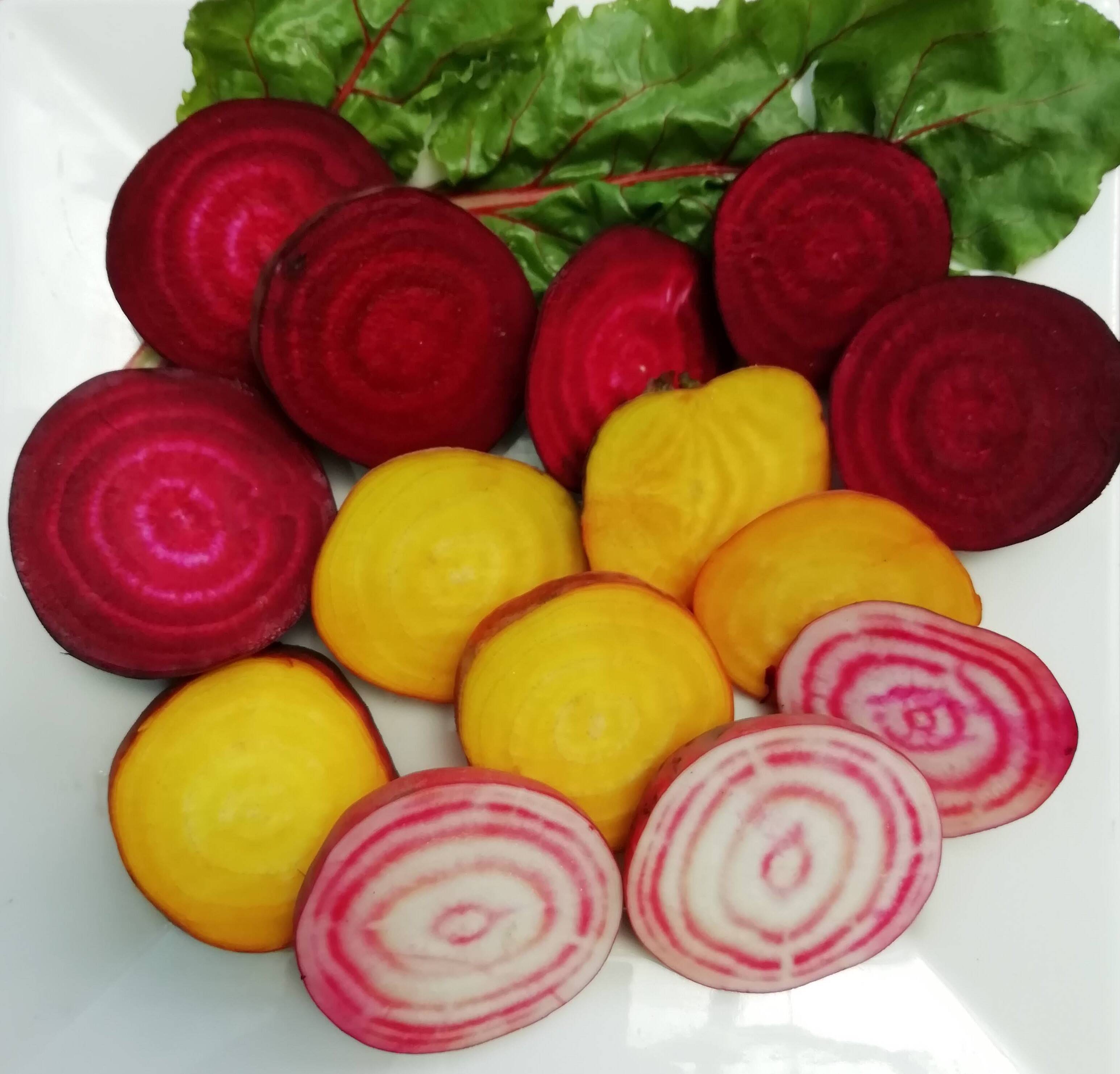 あま い ゴールデン ビーツ 種 郵便は送料無料 Rakuten ビーツ