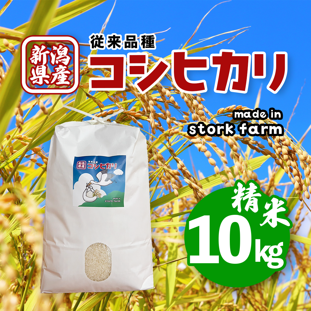 令和7年産【一等米】新潟県産従来品種コシヒカリ10kg：新潟県産の