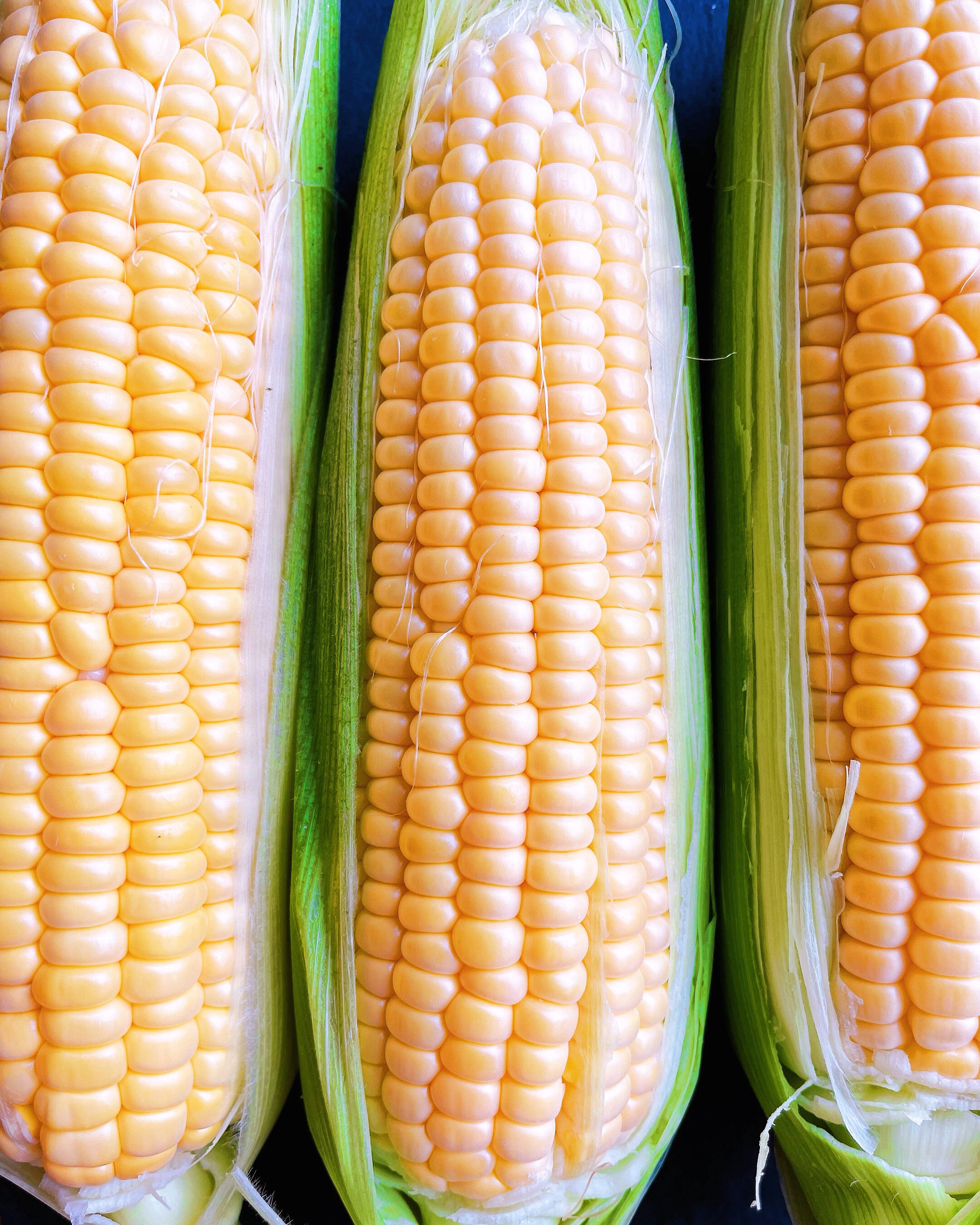 生で食べられるスイートコーン 生で食べられる！スイートコーン🌽 | 野菜/とうもろこし 産直