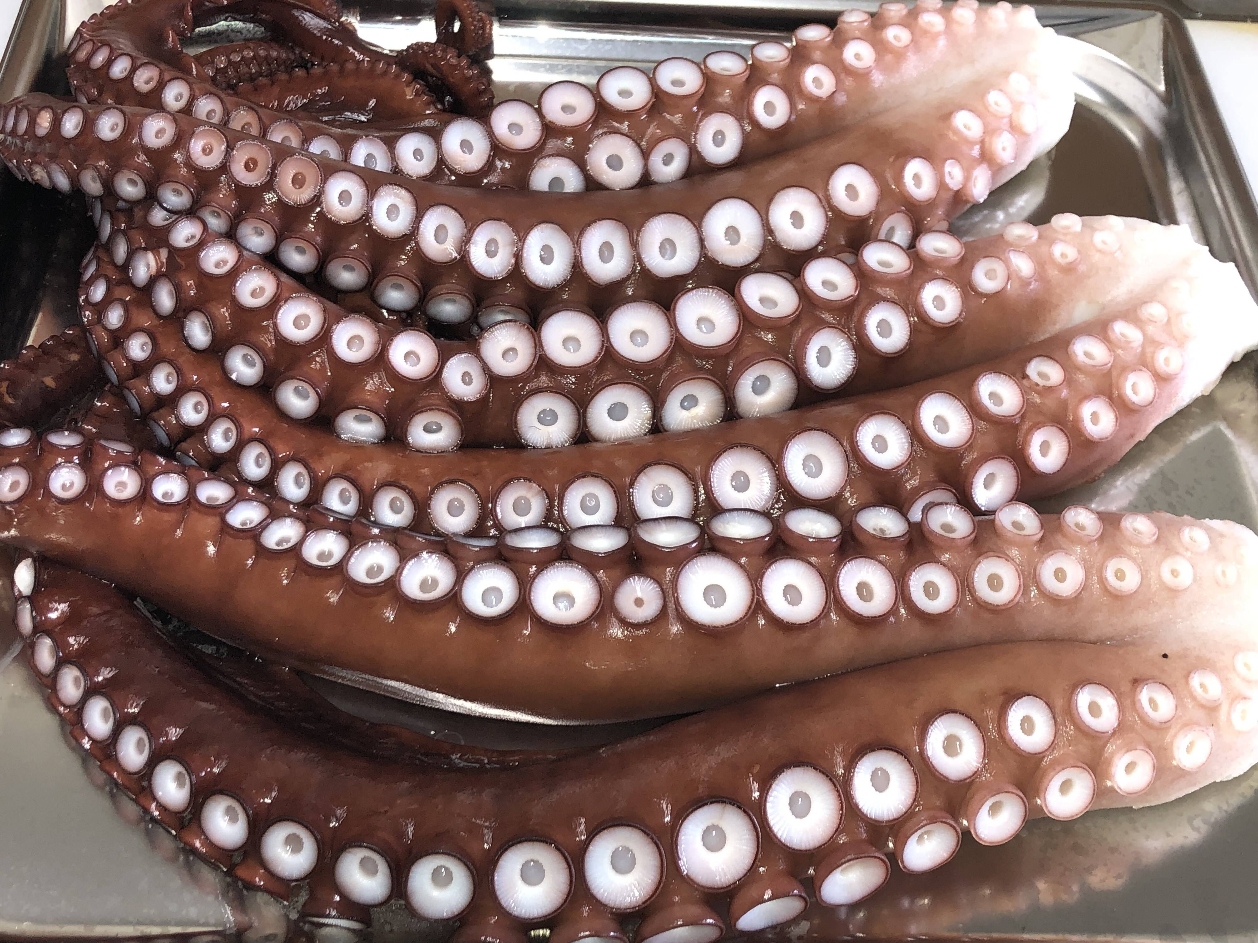 北三陸田野畑産】無添加茹でダコ 頭足セット 約1.2kg：岩手県産の