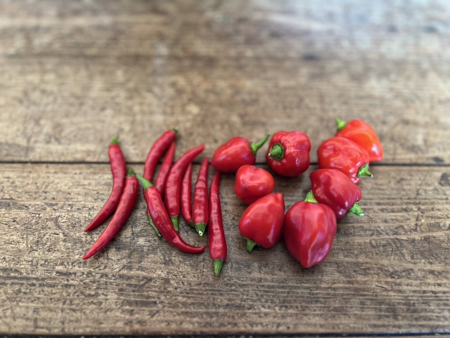 赤唐辛子 300g ・ハバネロ 100g 激辛セット 群馬県東吾妻町産：群馬県