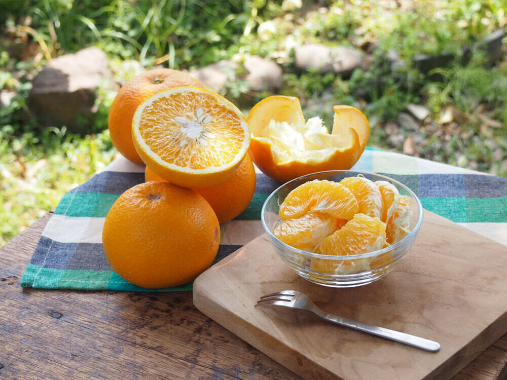 ご注文受付中】八朔(はっさく)【家庭用(訳あり)】[5kg] 312-3：和歌山