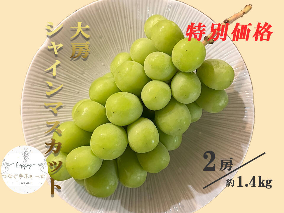 人気品種】甘～い！シャインマスカット（約1.4㎏/2房） パリッ