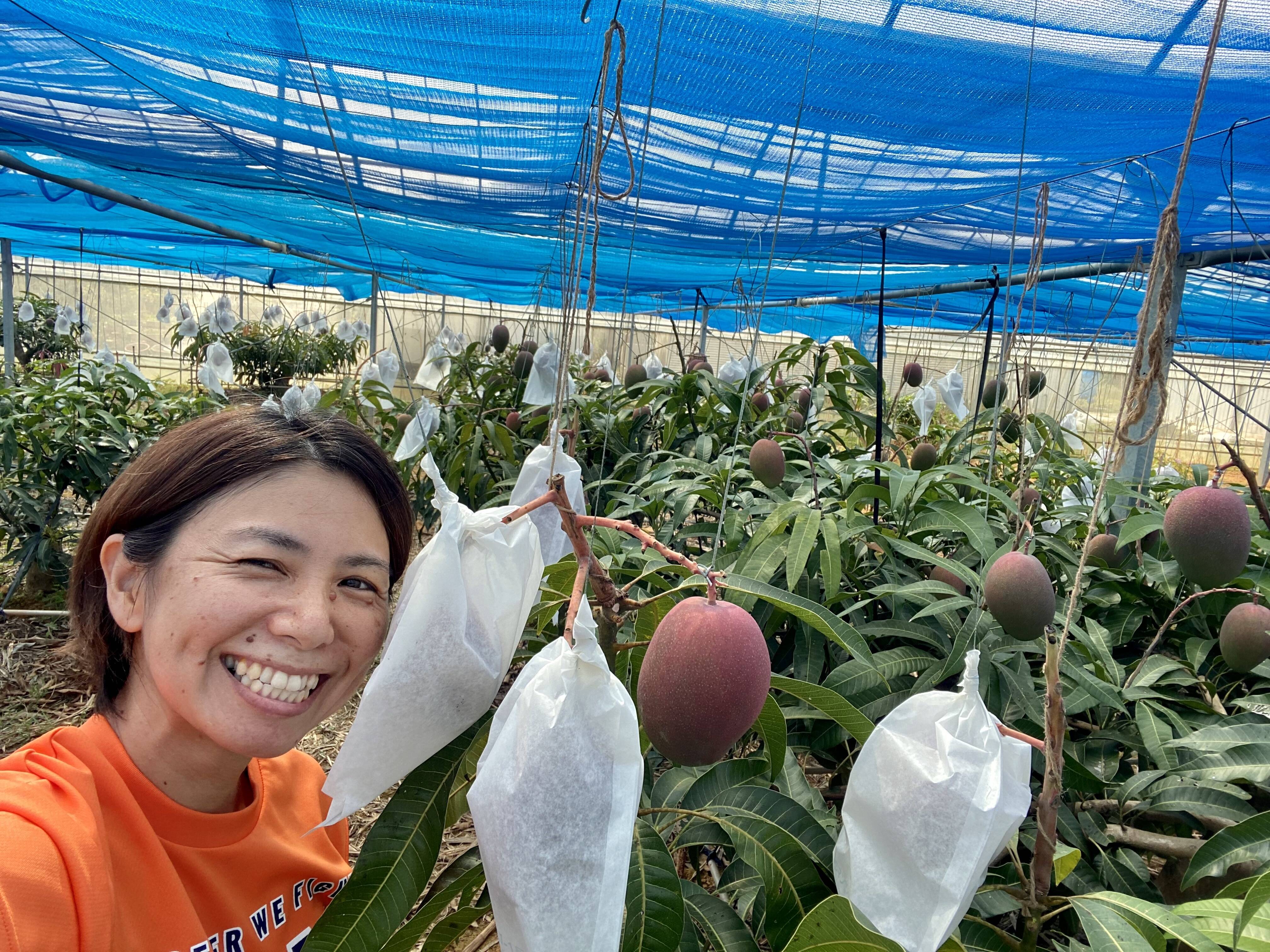 ふるさとマンゴー農園へのレビュー・商品：沖縄県｜食べチョク｜産地直送(産直)お取り寄せ通販 - 農家・漁師から旬の食材を直送