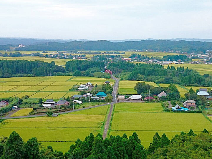つるかめ農園の紹介 千葉県 食べチョク 農家 漁師の産直ネット通販 旬の食材を生産者直送