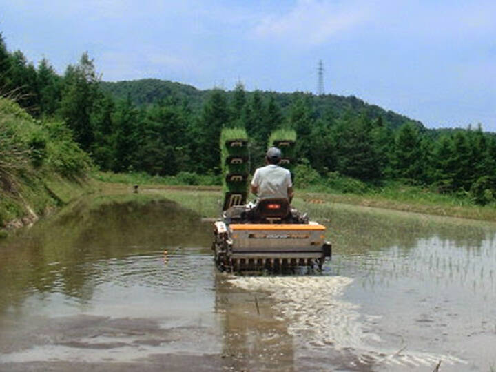 土遊野