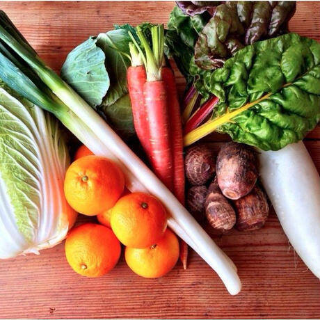 ゼロエネルギーCO2フリー】リジェネラティブ野菜セット【Sサイズ】6