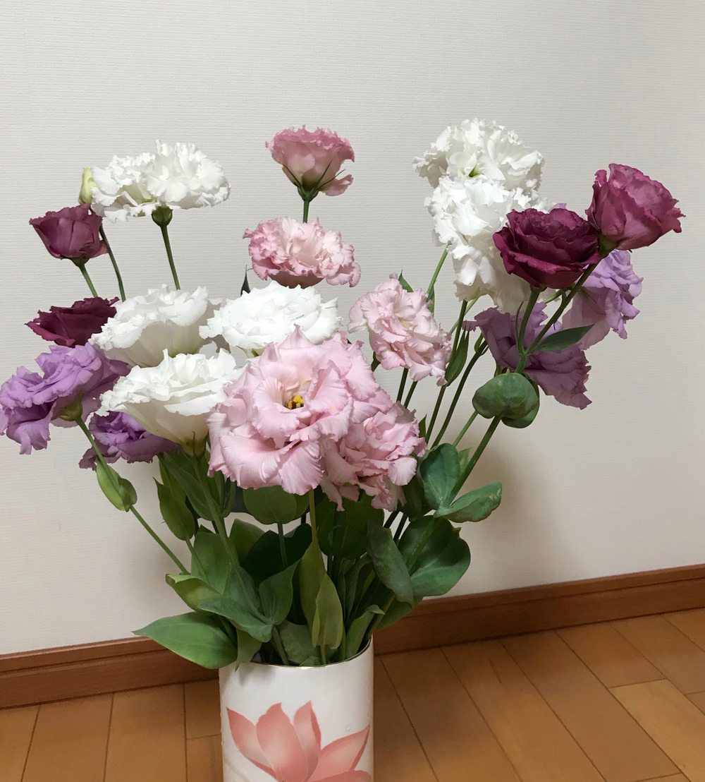 みどさんがスマートフォレストさんの大輪で華やか トルコキキョウ 切り花 輪束 が 届いたよ を投稿しました 食べチョク