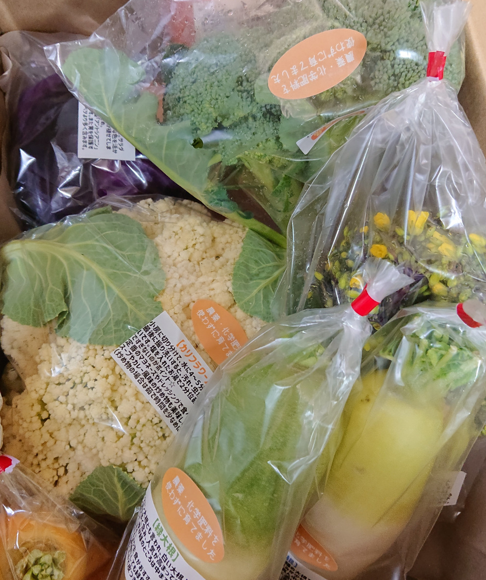 Hiiko さんがメープルマートさんの お手軽野菜セット 紫キャベツ 規格外カリフラワー 大根 人参 紅菜苔 収穫量が不足する場合は菜の花 の合計5品目セット おまけの野菜付き 栽培期間中農薬 化学肥料不使用 が 届いたよ を投稿しました 食べチョク