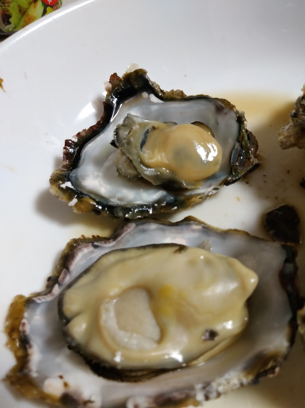 このはちの紹介 三重県 食べチョク 農家 漁師の産直ネット通販 旬の食材を生産者直送