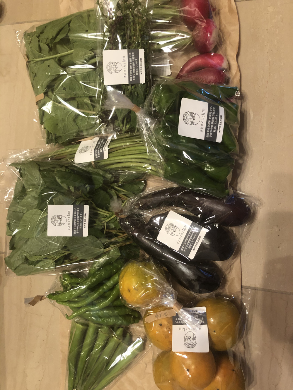 ケイさんがさとのくらしfarmさんの 3箱 日限定 神戸よりお届け さと のくらしfarmおまかせ野菜セット 8品目 が 届いたよ を投稿しました 食べチョク ケイさんがさとのくらしfarmさんの 3箱 日限定 神戸よりお届け さと のくらしfarmおまかせ野菜セット 8品目 が 届いたよ を投稿しました 食べチョク