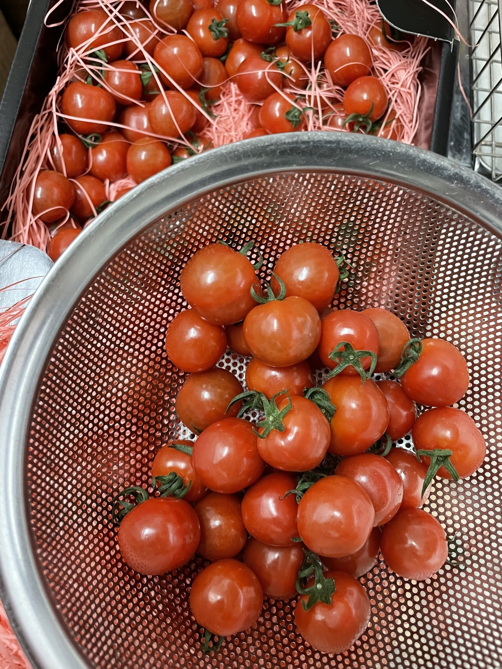 Sunu91さんがとまとや中村阮さんの 春だ 旬だ プチぷよだ さくらんぼのようなミニトマト が 届いたよ を投稿しました 食べチョク