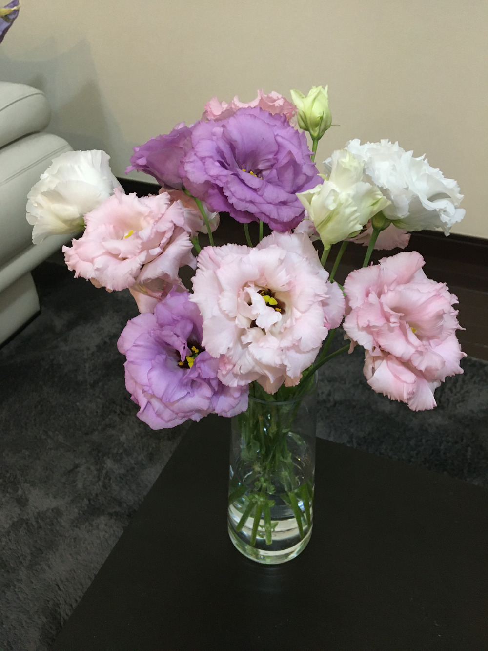 Yuiさんがスマートフォレストさんの大輪で華やか トルコキキョウ 切り花 輪束 が 届いたよ を投稿しました 食べチョク