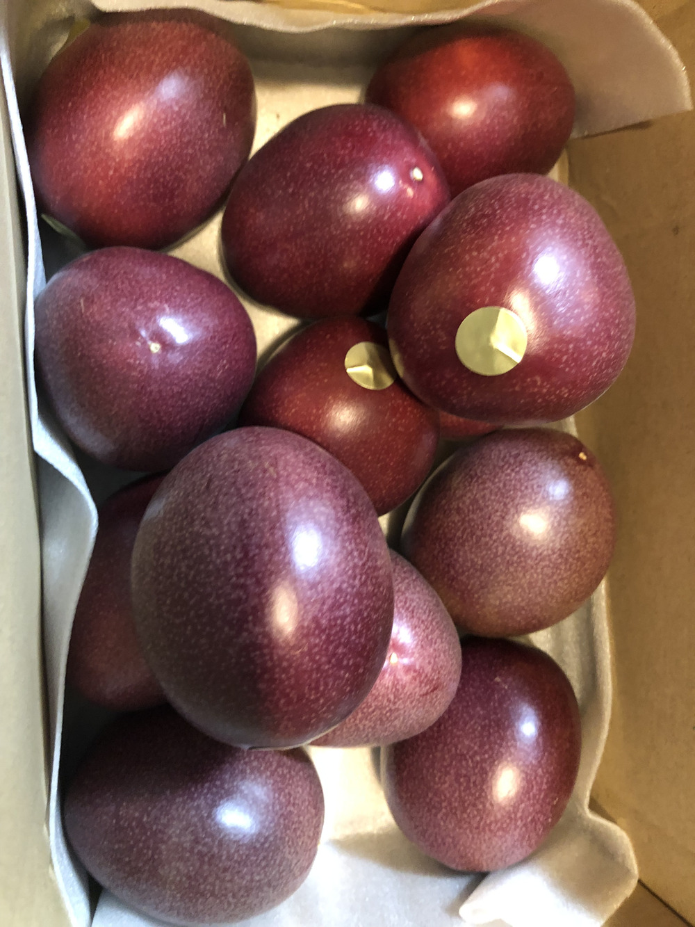 ぴさんがあべかわ園さんの本土最南端の国産パッションフルーツ 約1kg ご家庭用が 届いたよ を投稿しました 食べチョク