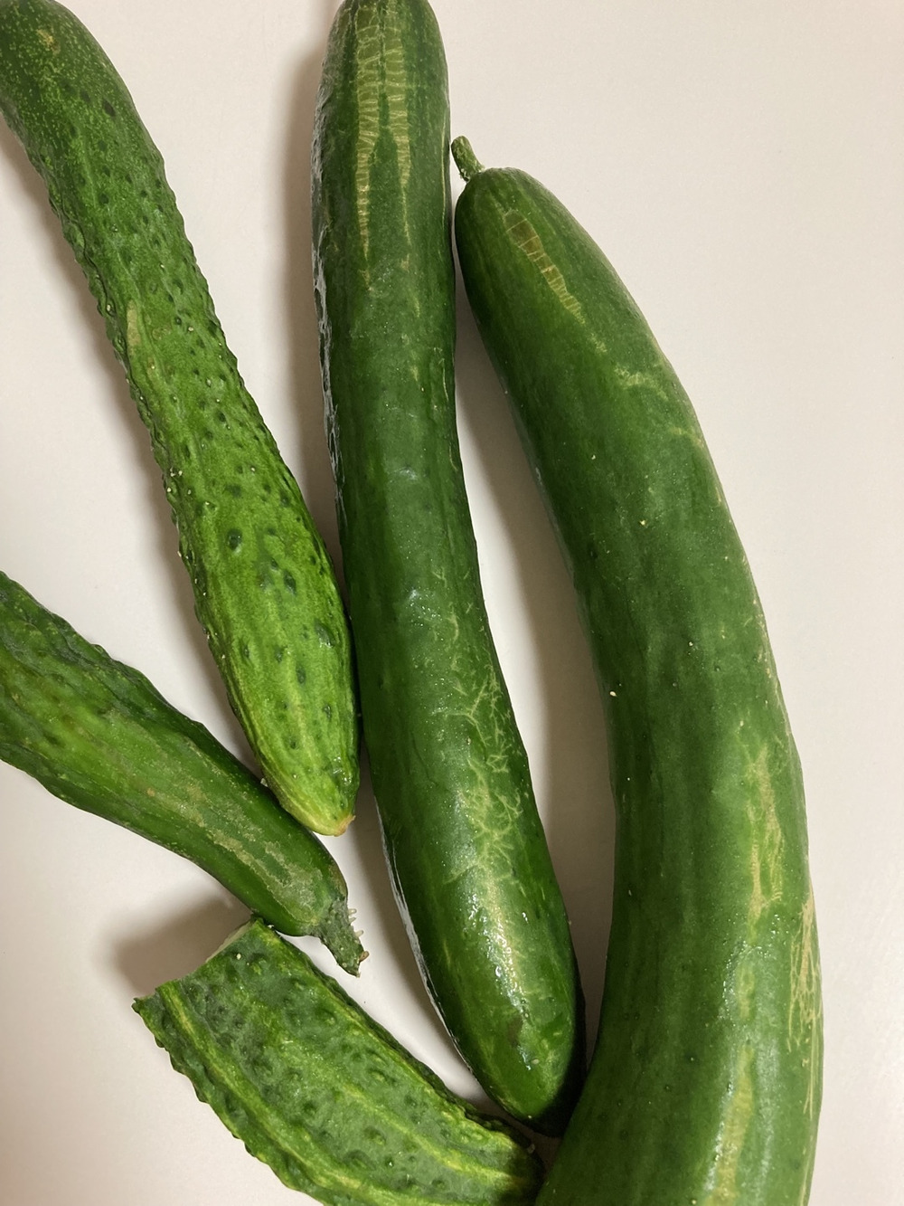 大樹地農園の投稿 食べチョク