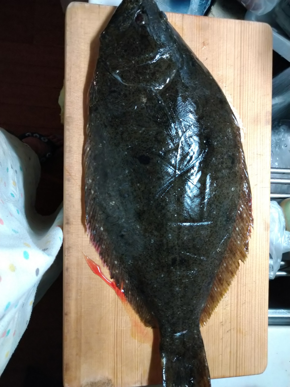 中谷 あゆみさんが三浦水産さんの 送料還元 刺身におすすめ ｈ 2 天然ヒラメ 45ｃｍ 1 7ｋｇ 即日発送が 届いたよ を投稿しました 食べチョク