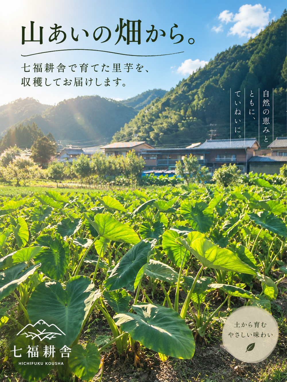 里芋の販売を開始しました！｜食べチョク｜産地直送(産直)お取り寄せ