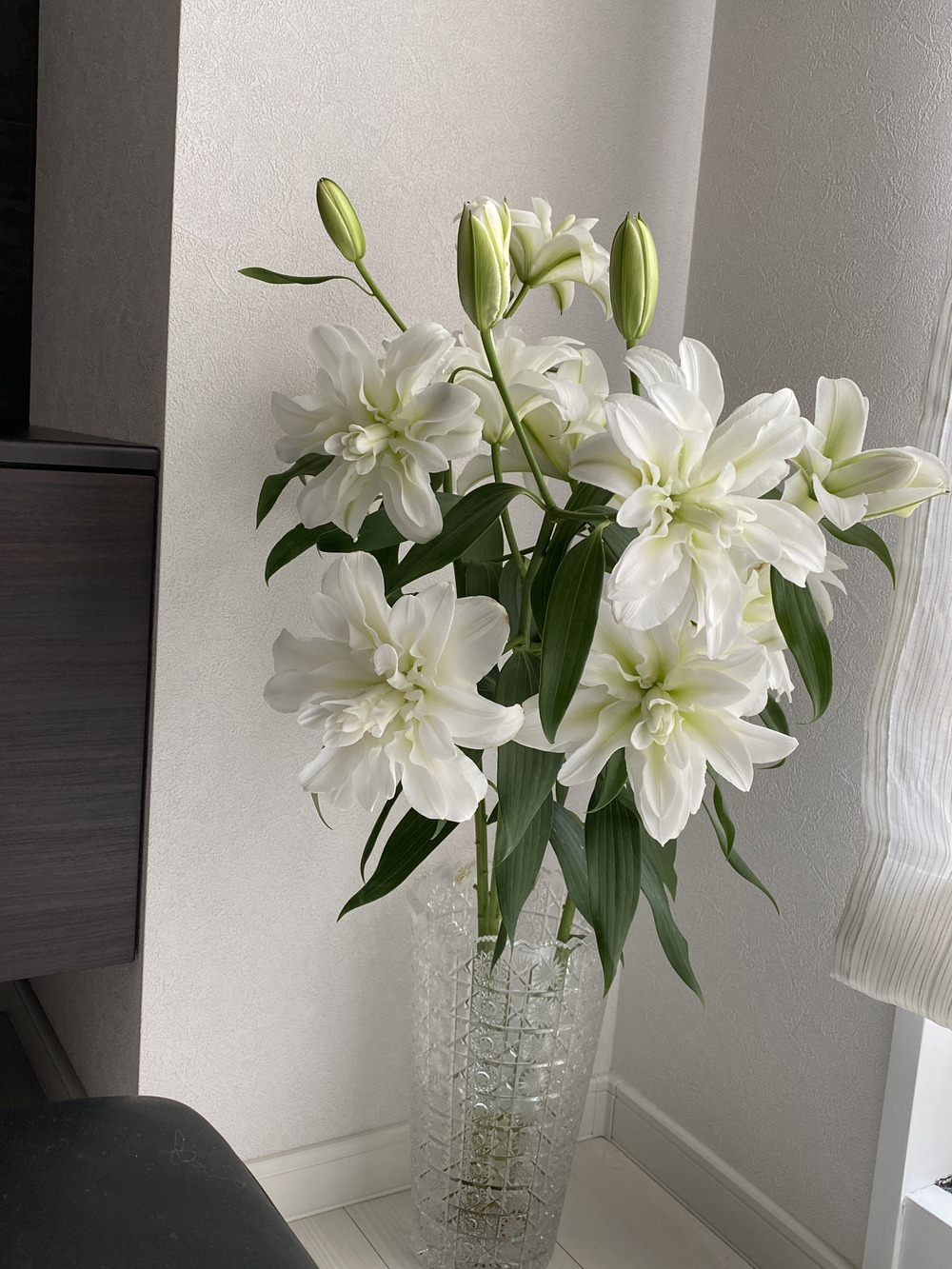 Yohyohさんがf F Hiraideさんの 期間限定 八重咲きユリ白 3本セット これは本当に圧巻です 蕾で届き花開く姿が見れるのはユリ の特権です が 届いたよ を投稿しました 食べチョク Yohyohさんがf F Hiraideさんの 期間限定 八重咲きユリ白 3本セット これは本当に圧巻です 蕾で届き花開く姿が見れるのはユリ の特権です が 届いたよ を投稿しました 食べチョク