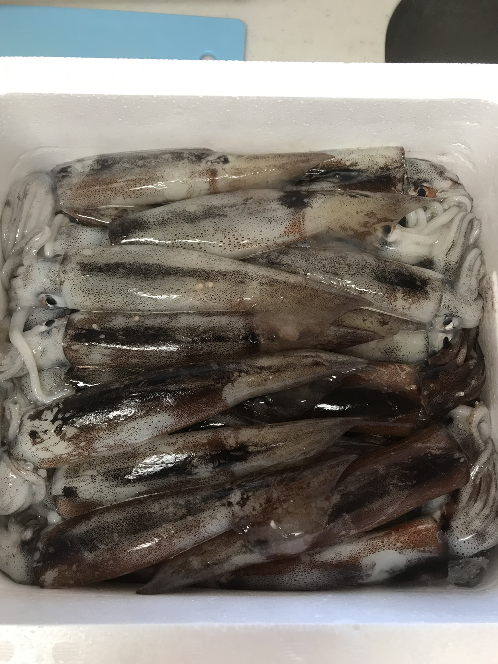 隆栄丸へのご馳走様でした 食べチョク 隆栄丸へのご馳走様でした 食べチョク