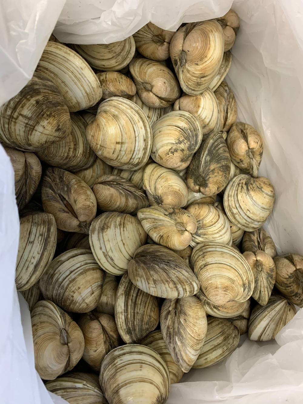 東京湾水産の紹介 千葉県 食べチョク 農家 漁師の産直ネット通販 旬の食材を生産者直送