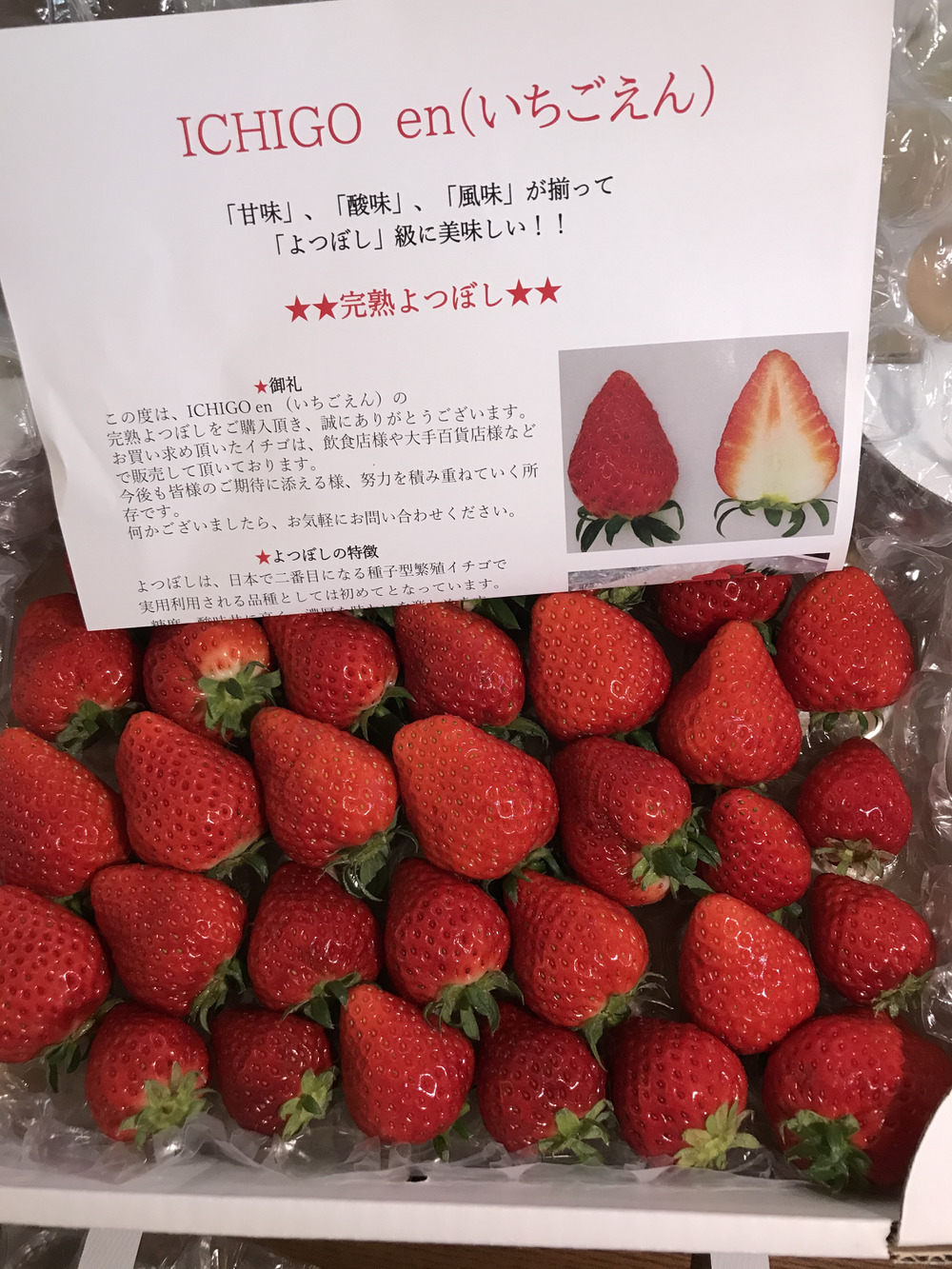 Ichigo Enの紹介 宮城県 食べチョク 農家 漁師の産直ネット通販 旬の食材を生産者直送 Ichigo Enの紹介 宮城県 食べチョク 農家 漁師の産直ネット通販 旬の食材を生産者直送