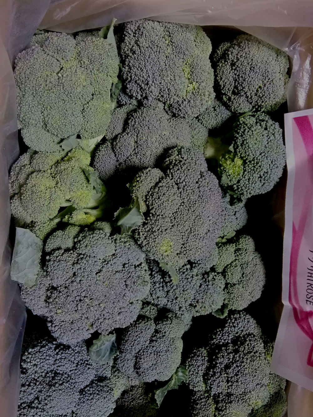 Chimneyさんがアグリhiroseさんの 3箱限定 ミニブロッコリー 60サイズ入るだけ が 届いたよ を投稿しました 食べチョク