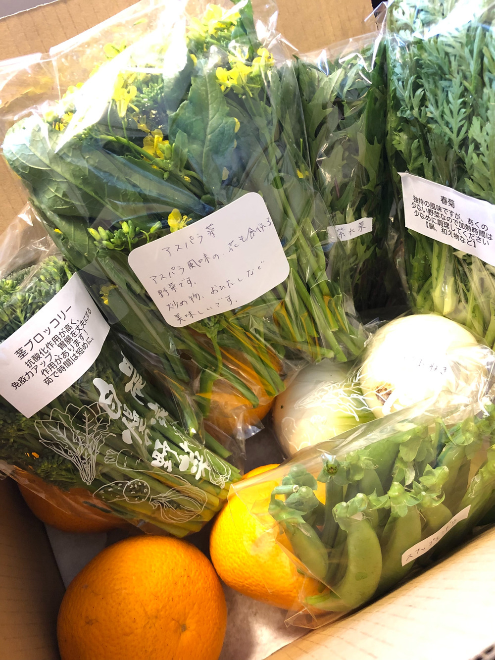 ないとう農園へのご馳走様でした 食べチョク