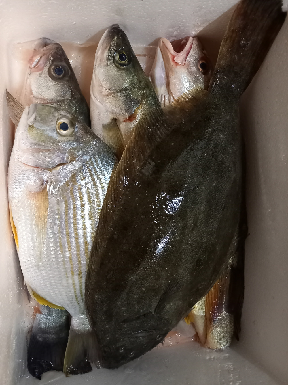 鏡の漁師へのご馳走様でした 食べチョク