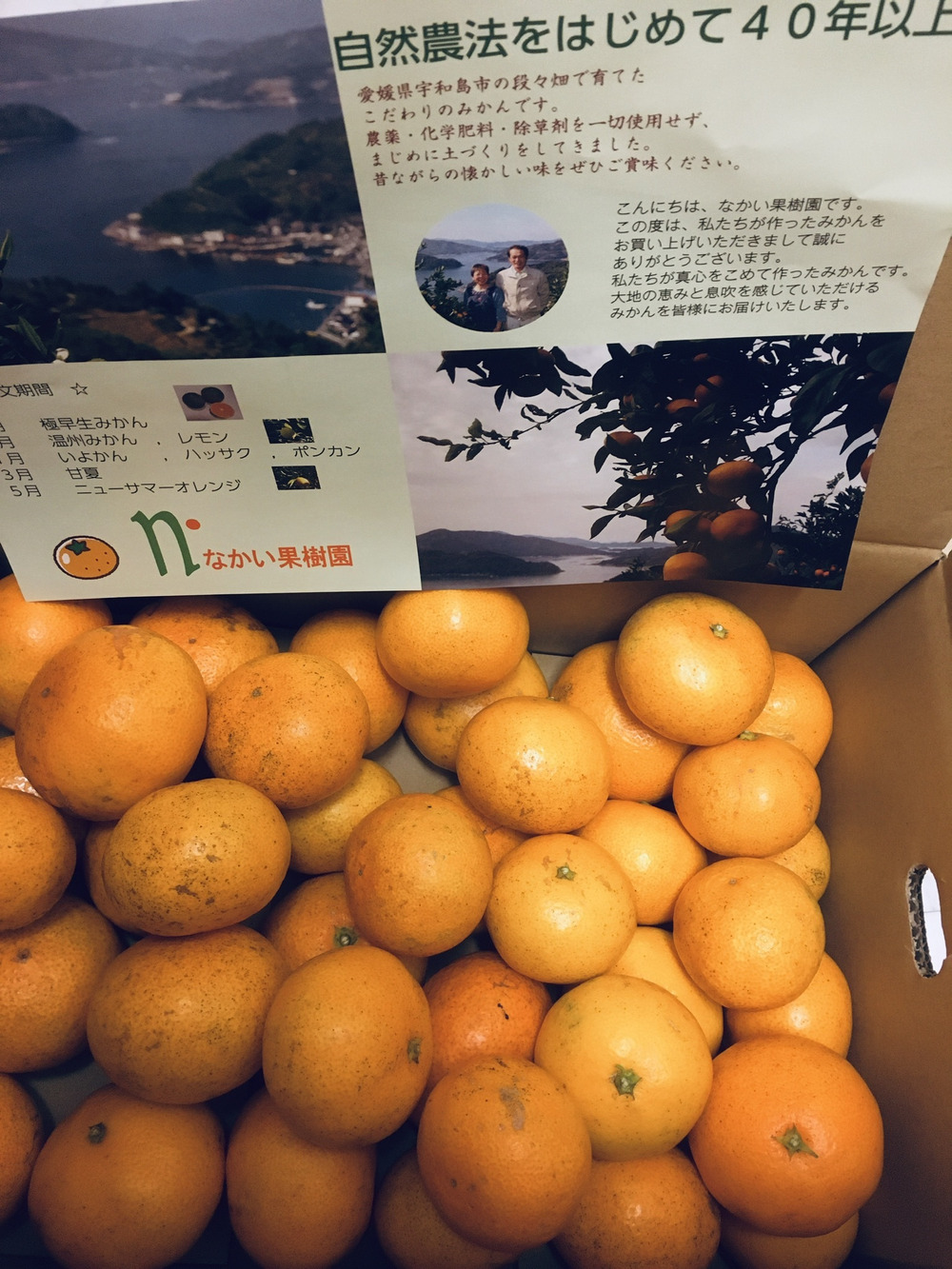なかい果樹園へのご馳走様でした 食べチョク