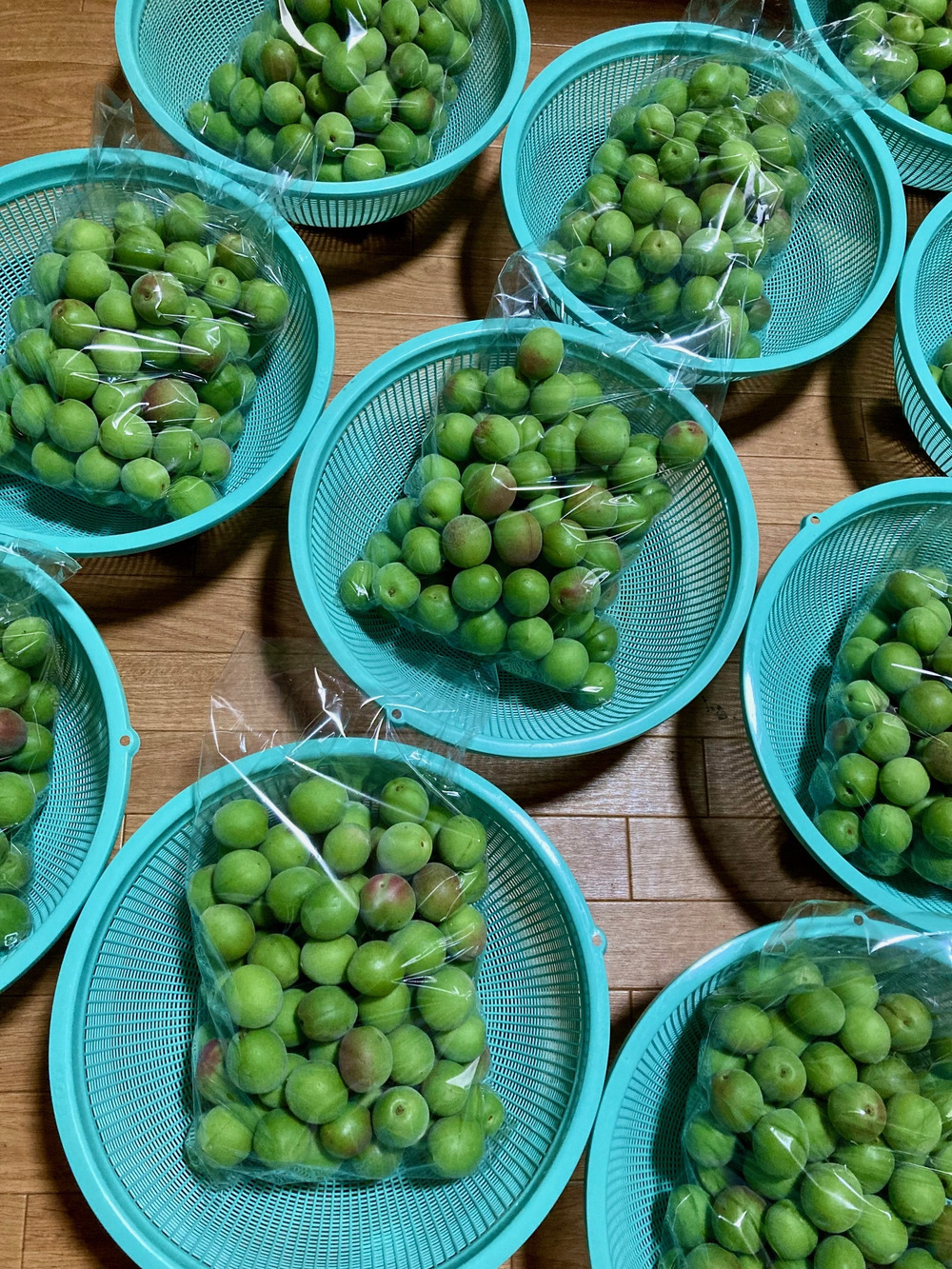 青梅の収穫・出荷状況、熟小梅の販売について｜食べチョク｜産地直送
