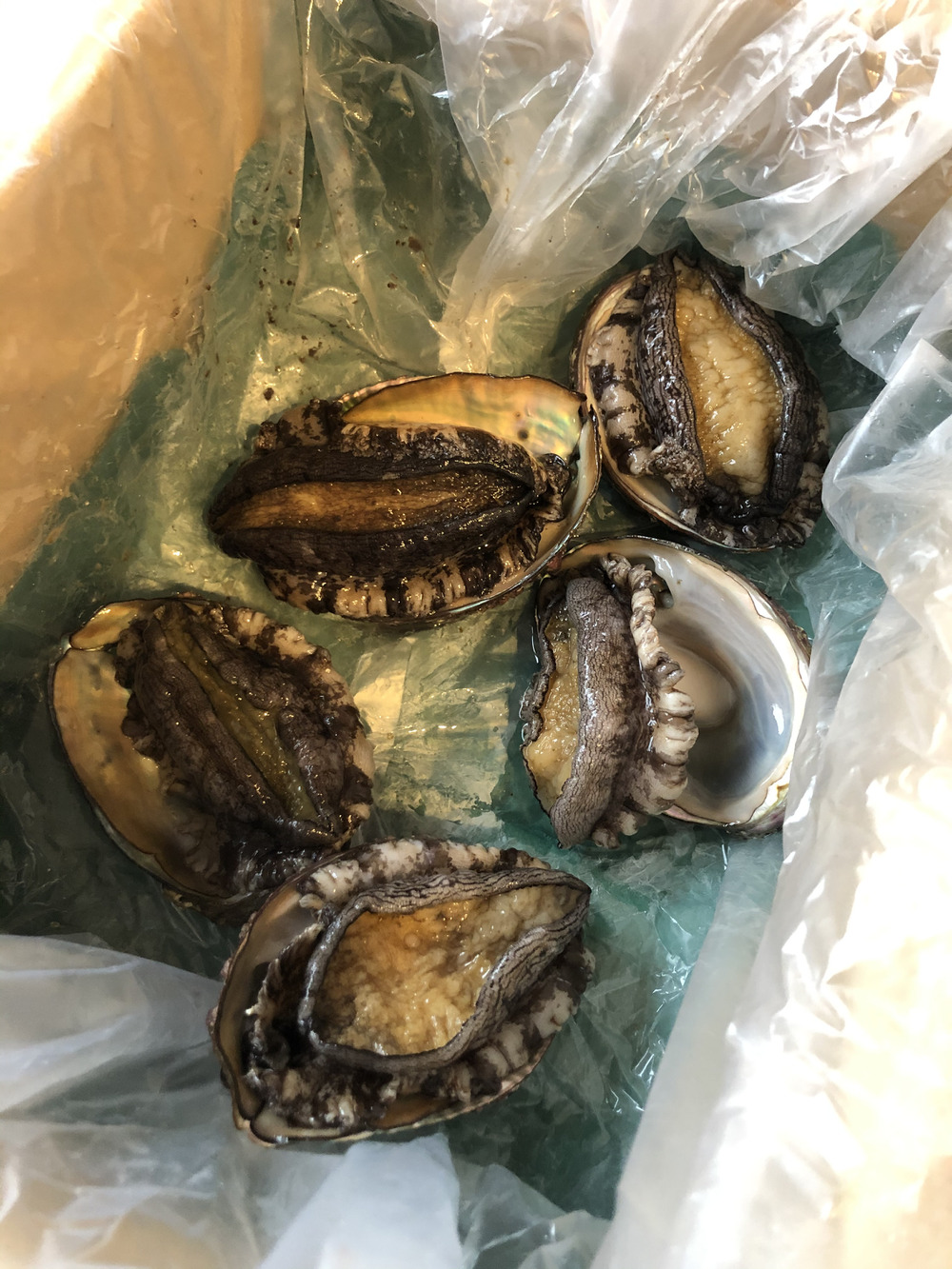浜人の紹介 宮城県 食べチョク 農家 漁師の産直ネット通販 旬の食材を生産者直送 浜人の紹介 宮城県 食べチョク 農家 漁師の産直ネット通販 旬の食材を生産者直送