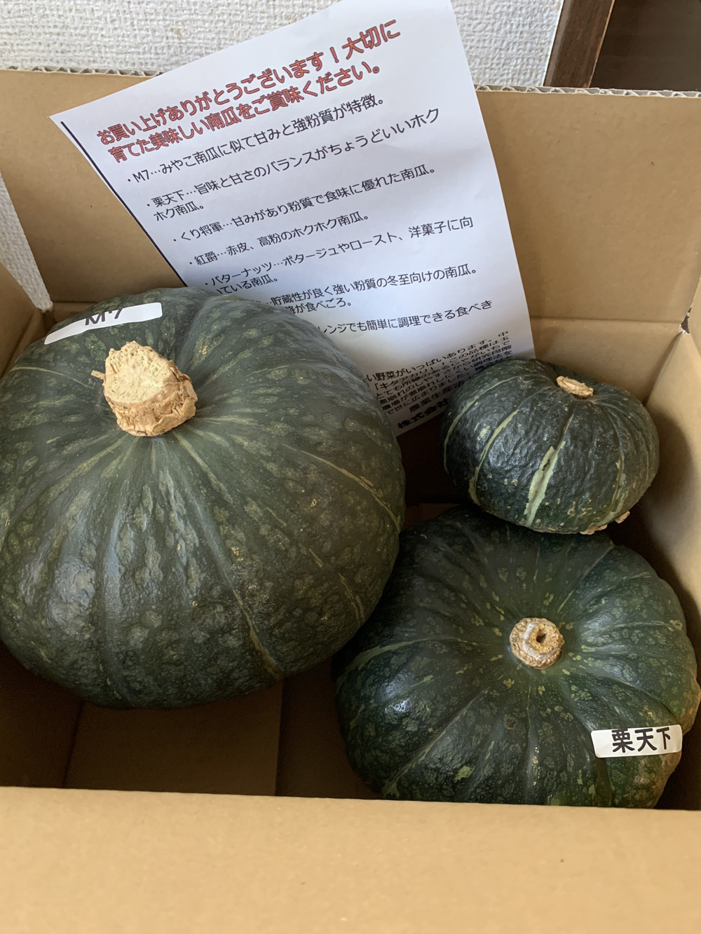 みいちゃんさんが玉手農場さんの 10月予約 おまかせカボチャ2品種2個セットが 届いたよ を投稿しました 食べチョク