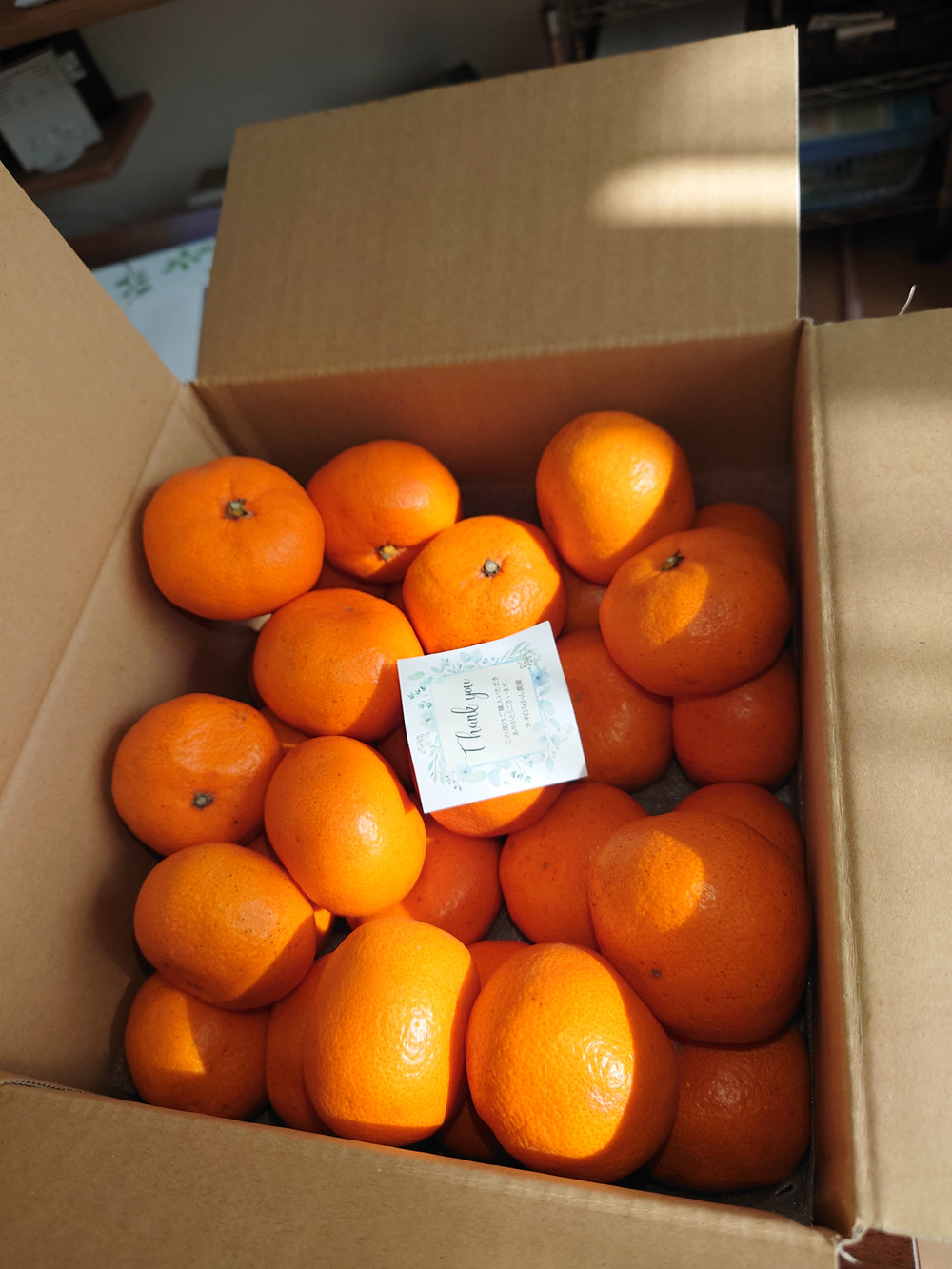 カネ白みかん農園の紹介：高知県｜食べチョク｜農家・漁師の産直ネット 